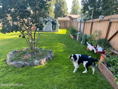 back yard