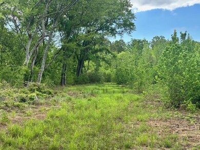 View of local wilderness with a wooded view