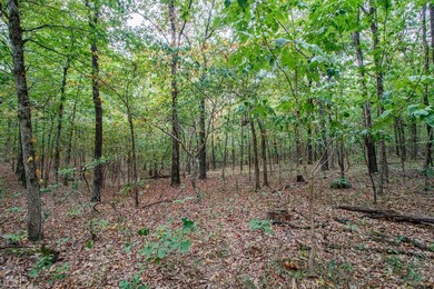 20 Acres Greene 737 Rd, Paragould, AR 72450 - photo 5