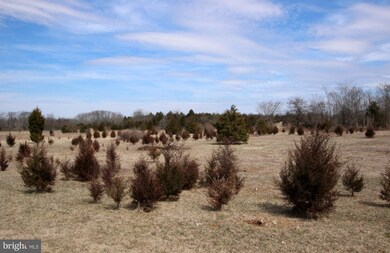 0 Wright Brothers Ct unit 1000307942, Summit Point, WV 25446 - photo 4