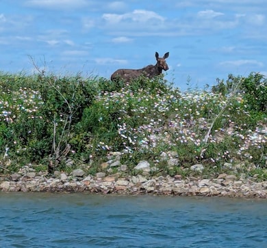 000 E 15 Mile Rd, Barbeau, MI 49710 - photo 6