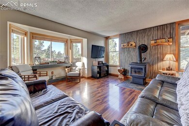 3313 County Road 51, Divide, CO 80814 - photo 5