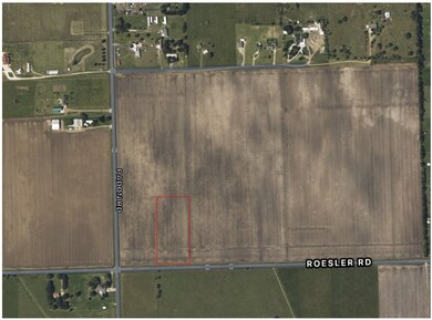 Lot 2 Roesler Rd, Needville, TX 77461 - photo 4