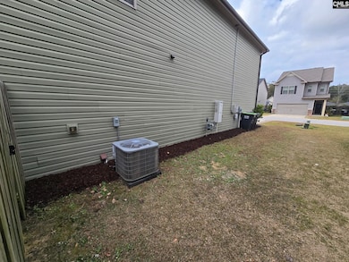 228 Bickley View Ct, Chapin, SC 29036 - photo 5