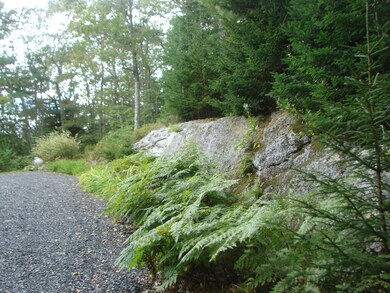 239 Foster Rd, Round Pond, ME 04564 - photo 7