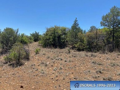 Tract B Hideaway Trail, Silver City, NM 88061 - photo 2