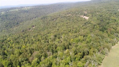 TBD Heflin Thomas Farm Rd, West Fork, AR 72774 - photo 6