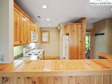 589 Peaceful Haven Dr unit N-3, Boone, NC 28607 - photo 6