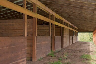 10035 Center Rd, Quilcene, WA 98376 - photo 5