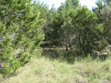 0 County Road 241, Hondo, TX 78861 - photo 6