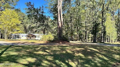 203 Goodman Rd, Pelahatchie, MS 39145 - photo 3