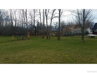 Yard. woods offer some privacy