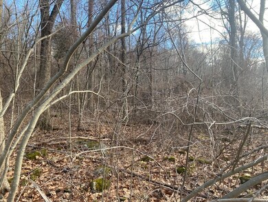 Lot 9A O'Neil Rd, Warren, MA 01083 - photo 2
