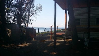 9910 Steffensen Rd, Anderson Island, WA 98303 - photo 7