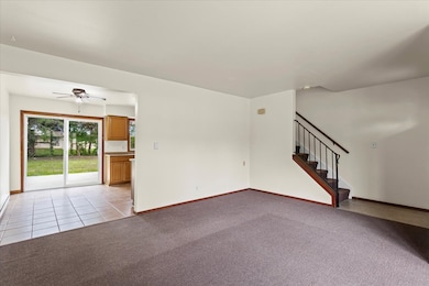 47 W Anchor Rd, Oswego, IL 60543 - photo 3