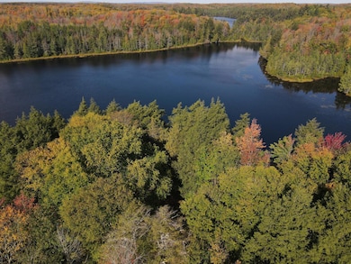 8103W Runyard Rd, Knight, WI 54534 - photo 7