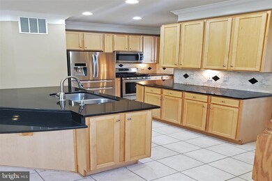 21404 Falling Rock Terrace, Broadlands, VA 20148 - photo 5