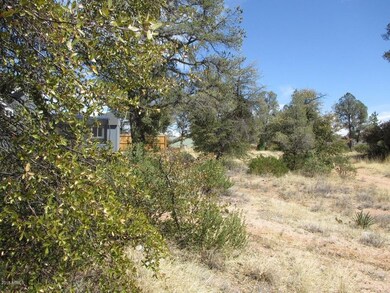 Photo_3