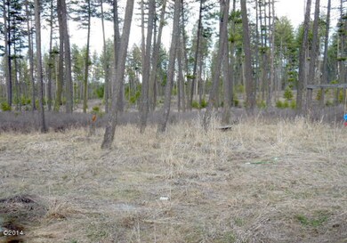 481 Cougar Trail, Whitefish, MT 59937 - photo 4