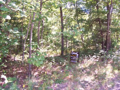 30 Brewer St, Worcester, MA 01609 - photo 6