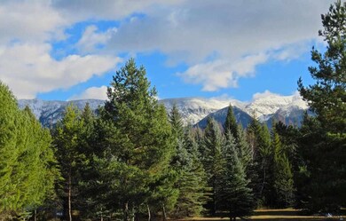 585 Aero Ln, Bigfork, MT 59911 - photo 4