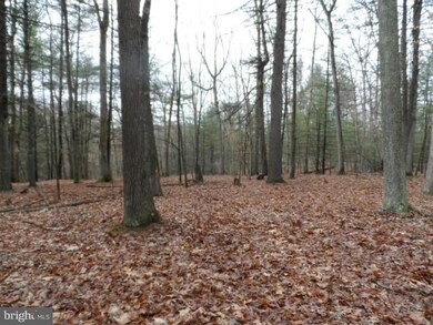 29 Silverstone Ln, Berkeley Springs, WV 25411 - photo 7