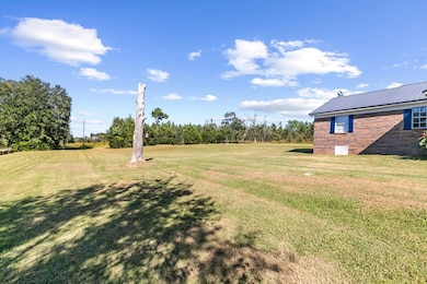 3349 Firetower Rd, Pansey, AL 36370 - photo 4