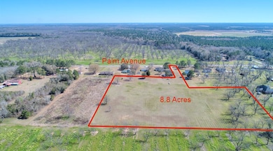 4619 Palm Ave, Albany, GA 31705 - photo 6