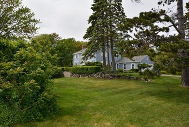 Expansive yard. Lots of room to play...