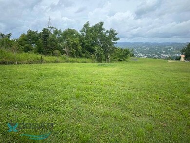 091025 Sr 119 Km 28 7 Int Bo Hoyamala Sector Lechuza, San Sebastián, PR 00685 - photo 2