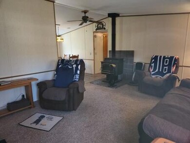 4297 N Wilderness Trail, Luther, MI 49656 - photo 3