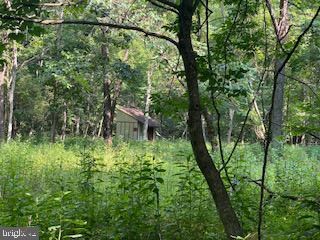 33 Walnut Bottom Hideaway, Moorefield, WV 26836 - photo 2