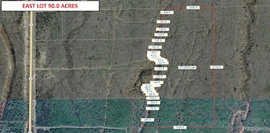 32954 Kingbird Ln, Carp Lake Township, MI 49953 - photo 3