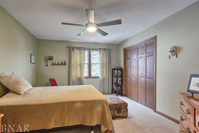 20322 Cedar Ave, Downs, IL 61736 - photo 7