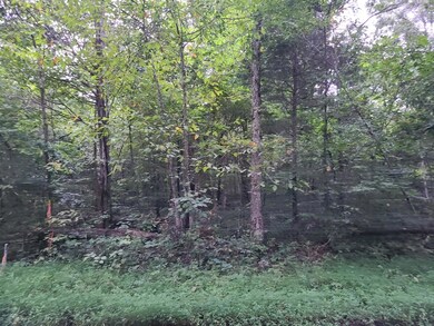 365 Burnside Hideaway Dr, Burnside, KY 42519 - photo 3