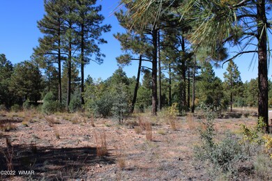 441 E Huckleberry Ln, Show Low, AZ 85901 - photo 3