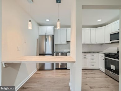 103 Fitz Ct unit 203, Reisterstown, MD 21136 - photo 7