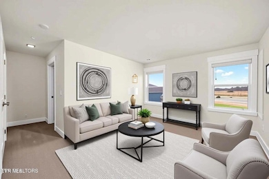 339 Cookie Loop, Johnson City, TN 37615 - photo 3