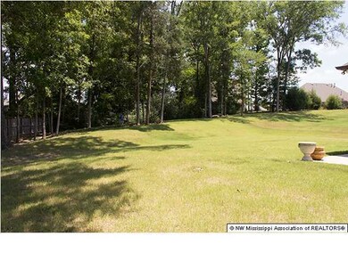 unlisted-address, Hernando, MS 38632 - photo 3