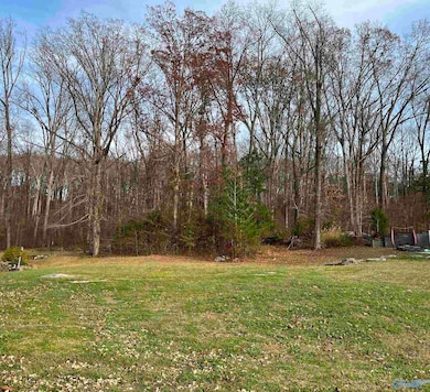 105 Amber Way, Priceville, AL 35603 - photo 2