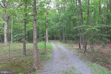 4071 Old Charles Town Rd, Berryville, VA 22611 - photo 6