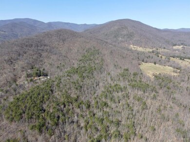 0 Lexington Turnpike unit 330760, Oronoco, VA 24521 - photo 2