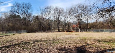 327 Pension Row, Madison, AL 35758 - photo 3