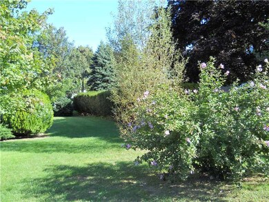 Yard/Garden.