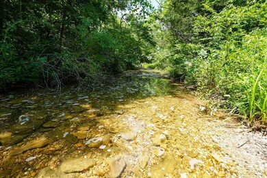 242 Blue Jay Dr, Chadwick, MO 65629 - photo 6