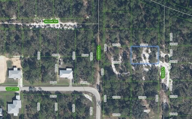 6809 Vanda Place, Sebring, FL 33875 - photo 2