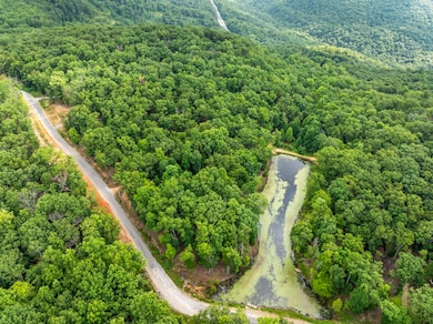 0 Eagle Rock Rd unit RTC3050760, Monteagle, TN 37356 - photo 6