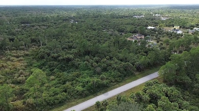 0 30th Ave SE unit 25698629, Naples, FL 34117 - photo 3