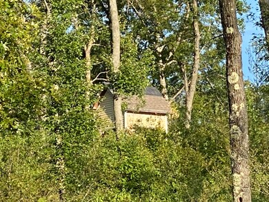 0 N Woodbridge Dr unit 22048039, Bitely, MI 49309 - photo 4