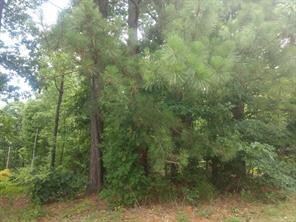 0 Trafalgar Road & Lytham Ln unit 1127202, Bella Vista, AR 72714 - photo 4